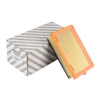 Inserto del filtro dell'aria angolare