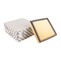 elemento filtrante dell'aria