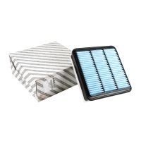 elemento filtrante dell'aria