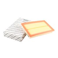 elemento filtrante dell'aria