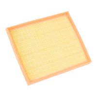 Filtro aria PSA OE