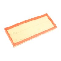 Elemento del filtro dell'aria PPE originale