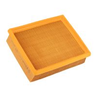 Elemento del filtro dell'aria PPE originale