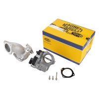 Corpo farfallato a partire dal 2011