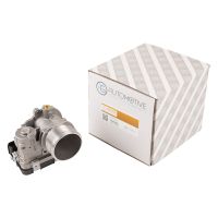 Corpo farfallato del 2011