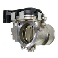 Corpo farfallato dal 2011 originali