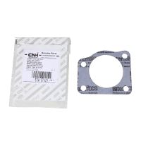 Guarnizione corpo farfallato OE