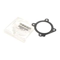 Guarnizione della valvola a farfalla