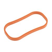 Anello tenuta collettore aspirazione originale FCA