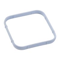 Anello di tenuta Collettore di aspirazione