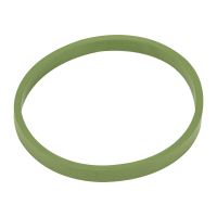 Anello di tenuta valvola a farfalla del collettore di aspirazione