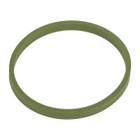 Anello di tenuta valvola a farfalla del collettore di aspirazione