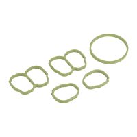 Kit riparazione collettore di aspirazione