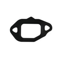 Guarnizione valvola EGR