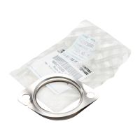 Guarnizione valvola EGR