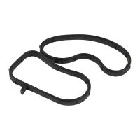 Guarnizione valvola EGR