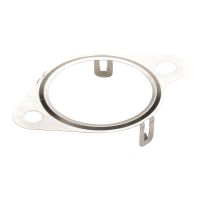 Guarnizione tubo valvola EGR Iveco OE