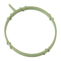 Guarnizione valvola EGR