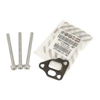 Guarnizione valvola EGR