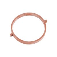 Guarnizione, corpo farfallato