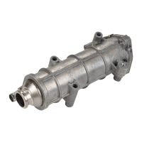 Scambiatore di calore prima della valvola EGR / EGR Originale