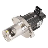 Valvola a farfalla con valvola EGR