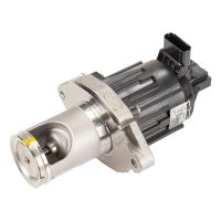 Valvola a farfalla con valvola EGR