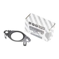 Guarnizione valvola EGR