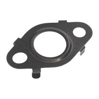 Guarnizione della valvola EGR