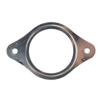 Guarnizione per il convertitore catalitico