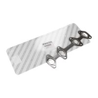 Guarnizione del collettore di scarico