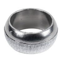 Guarnizione, convertitore catalitico