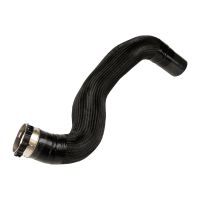 Uscita del tubo flessibile dell'aria di carica