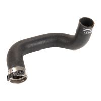 Tubo flessibile dell'aria di sovralimentazione sul radiatore dell'aria di sovralimentazione