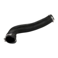 Tubo dell'aria di carica DPI originale