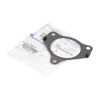 Guarnizione del turbocompressore