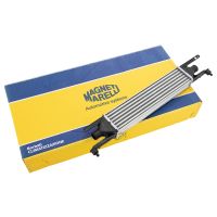 Intercooler 450-100-100-53 mm