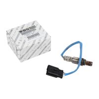 Sonda lambda riscaldata