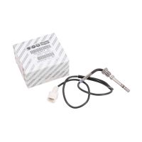 Sensore di temperatura Pressione del gas di scarico Filtro antifuliggine