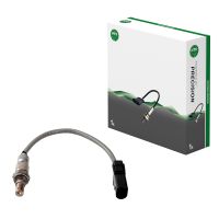 Sonda lambda davanti al gatto