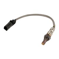 Sonda lambda davanti al gatto OE