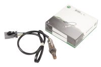 Sonda lambda davanti al gatto