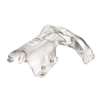 Coperchio del Catalizzatore