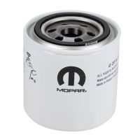 elemento filtrante dell'olio