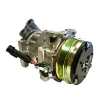 Compressore per condizionatore d'aria per il produttore Sanden