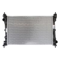 Radiatore del motore