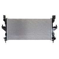 Radiatore del motore