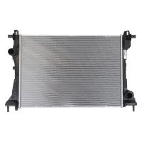 Radiatore del motore