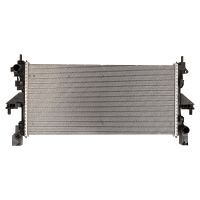 Radiatore del motore