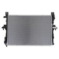 Radiatore del motore